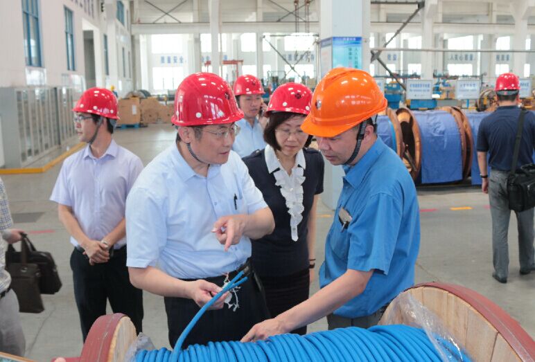 2016年7月22日，瀘州市委常委、副市長王建翔一行來上上電纜參觀考察
