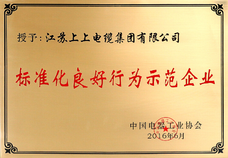 標(biāo)準(zhǔn)先行促發(fā)展，上上電纜再獲殊榮