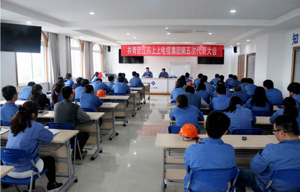 2016年4月20日，共青團江蘇上上電纜集團第五次代表大會召開