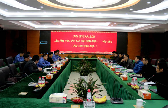 上海電力公司、上纜所領(lǐng)導(dǎo)、專(zhuān)家一行來(lái)上上電纜交流考察