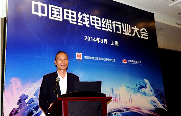 丁山華應(yīng)邀主持2014中國線纜行業(yè)大會專題報(bào)告會