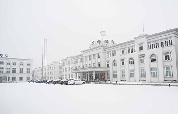 17689051983164668FLf.jpg 6.jpg